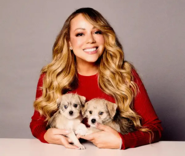 Mariah Carey reveals her most underrated song | mcarchives.com